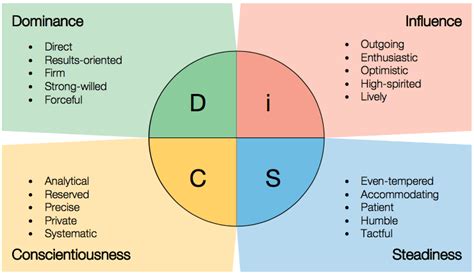disc assessment breakdown.
